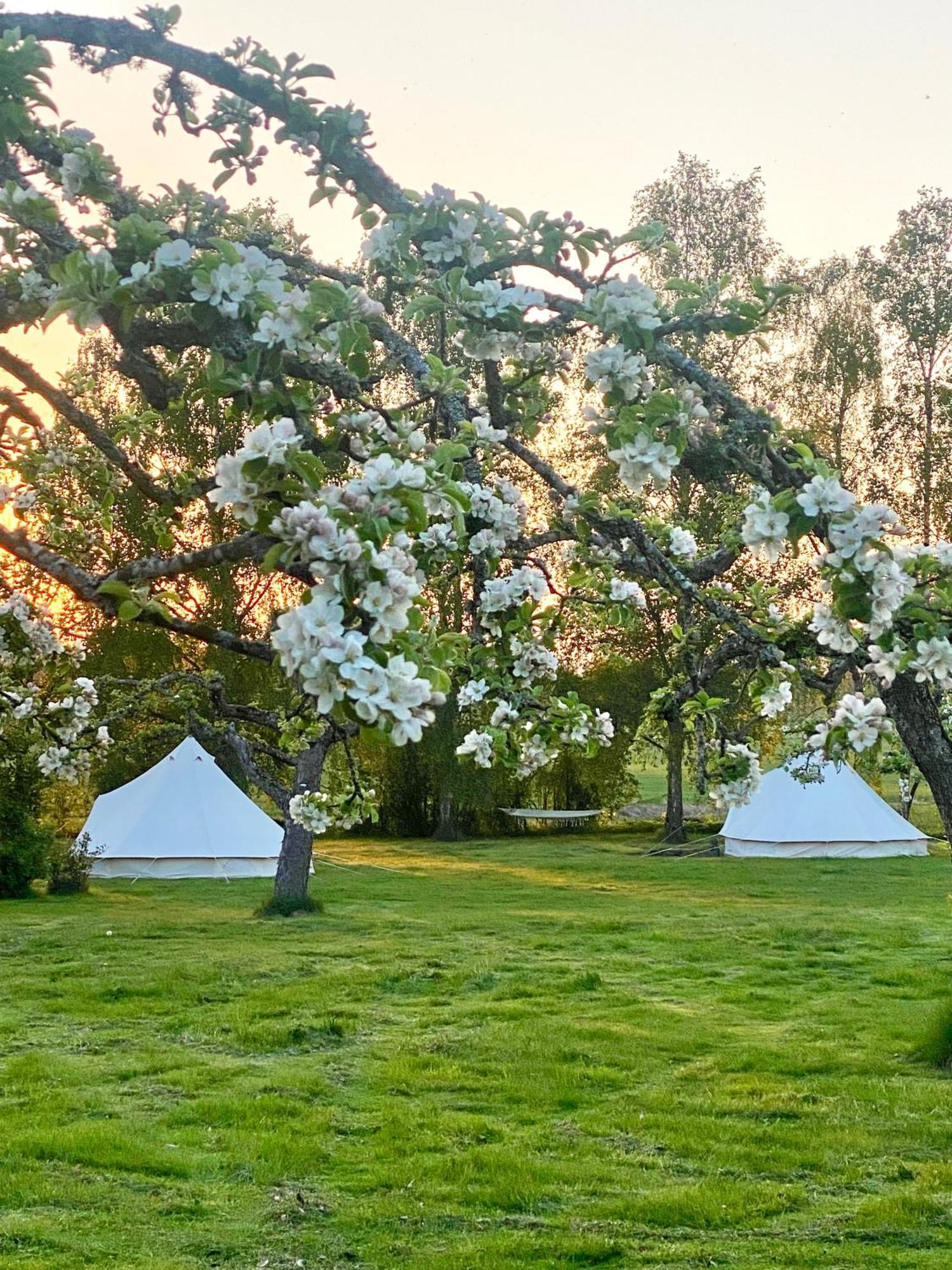מלון Klockrike Soerby Glamping מראה חיצוני תמונה